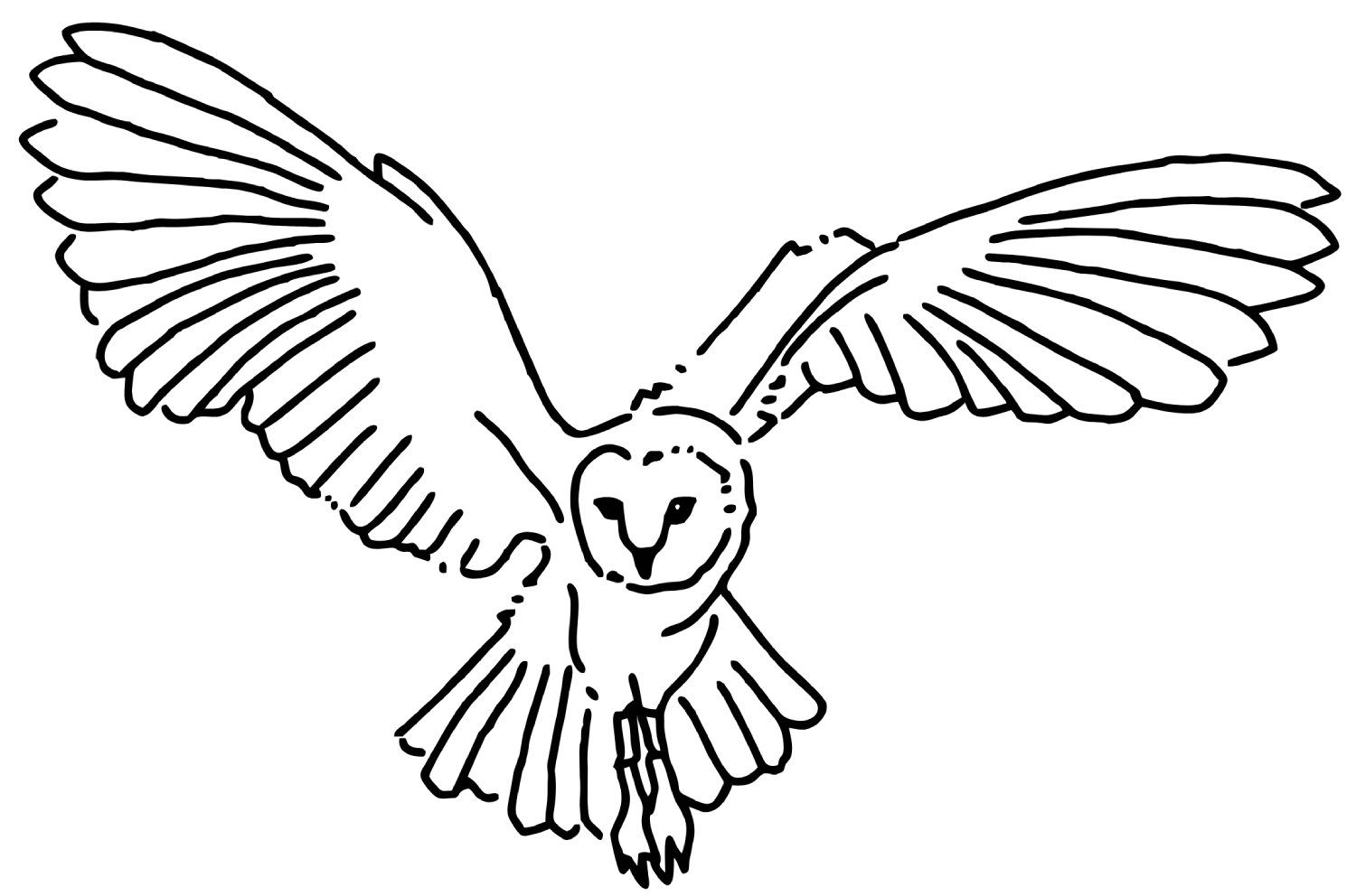 owl-landing-illustration
